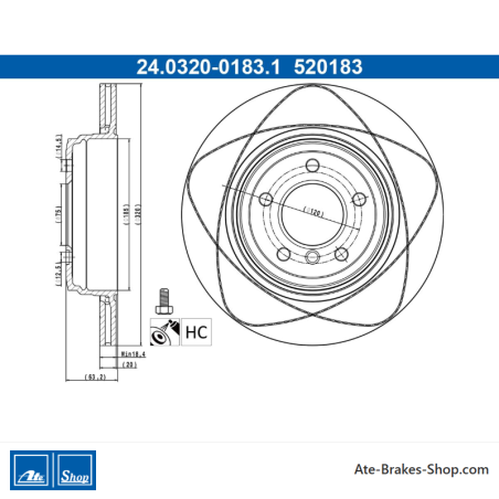 ATE Original 2 Pieces Power Brake Disk (24032001831) for BMW