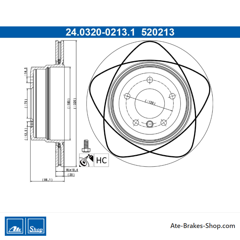 ATE Original 2 Pieces Power Brake Disk (24032002131) for BMW