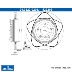 ATE Original 2 Pieces Power Brake Disk (24032202091) for BMW